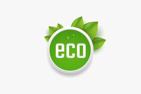 What is the ECO Scheme and who is eligible?
