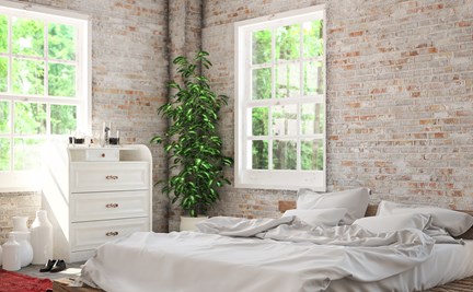 5 Plants That Can Help You to Sleep Better At Night