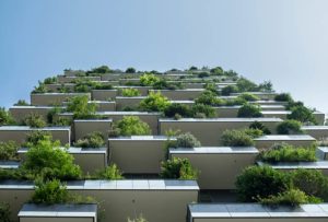 What Are Sustainable Building Materials?