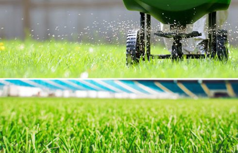 The Difference Between Turf and Lawn Sowing