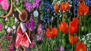 Flower Gardening Tips to Give Your Garden a Unique Look