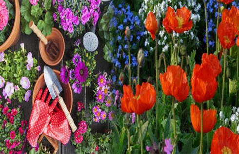 Flower Gardening Tips to Give Your Garden a Unique Look
