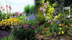 Sun Perennial Garden Ideas For Your Front Yard