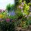 Sun Perennial Garden Ideas For Your Front Yard