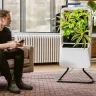 From Smart Shades to Outdoor Entertainment: Must-Have Gadgets for a High-Tech California Living Room