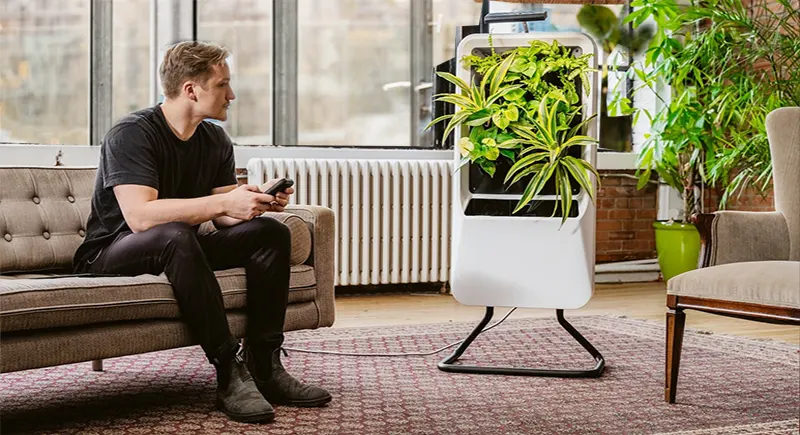 From Smart Shades to Outdoor Entertainment: Must-Have Gadgets for a High-Tech California Living Room